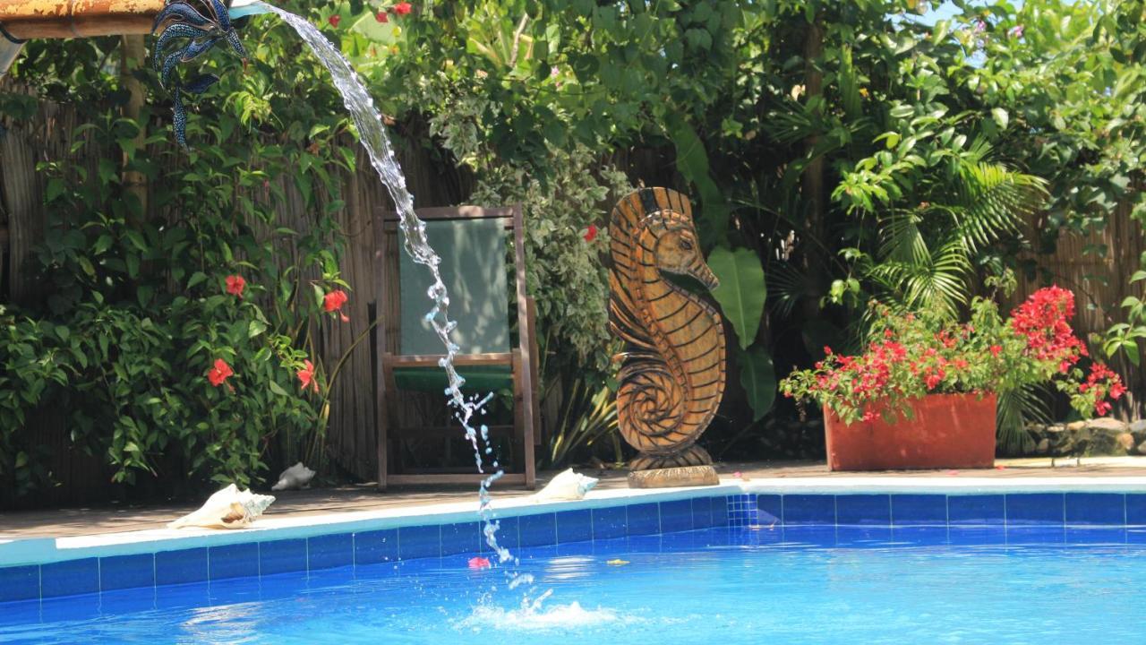 La Natura Hostel & Pool Palomino Zewnętrze zdjęcie