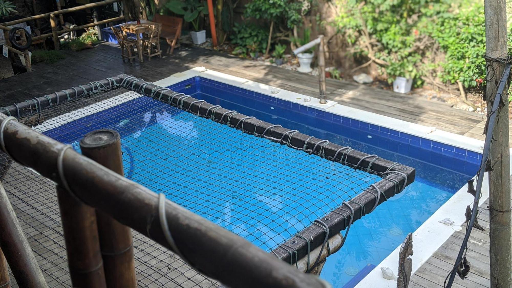 La Natura Hostel & Pool Palomino Zewnętrze zdjęcie