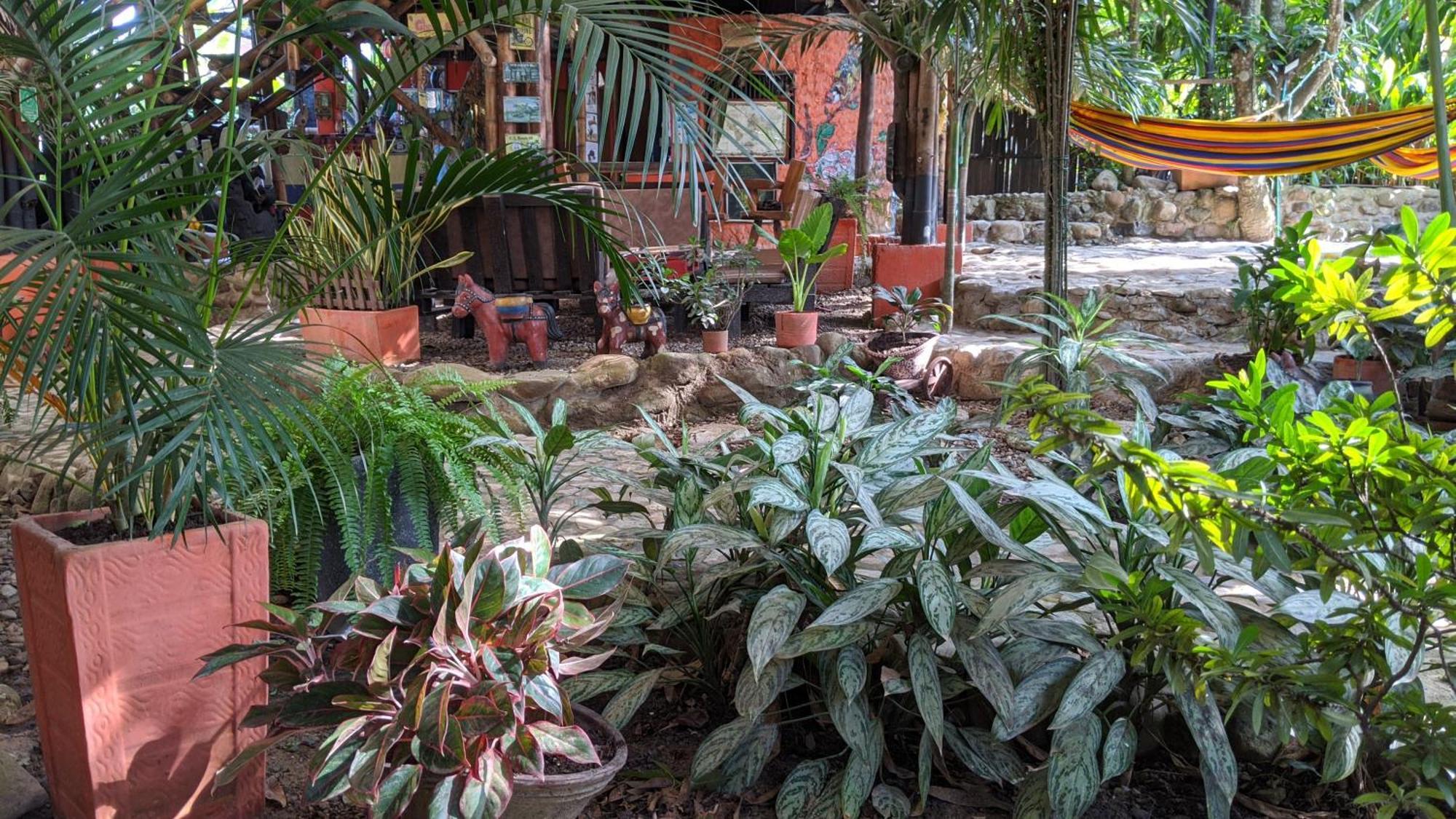 La Natura Hostel & Pool Palomino Zewnętrze zdjęcie