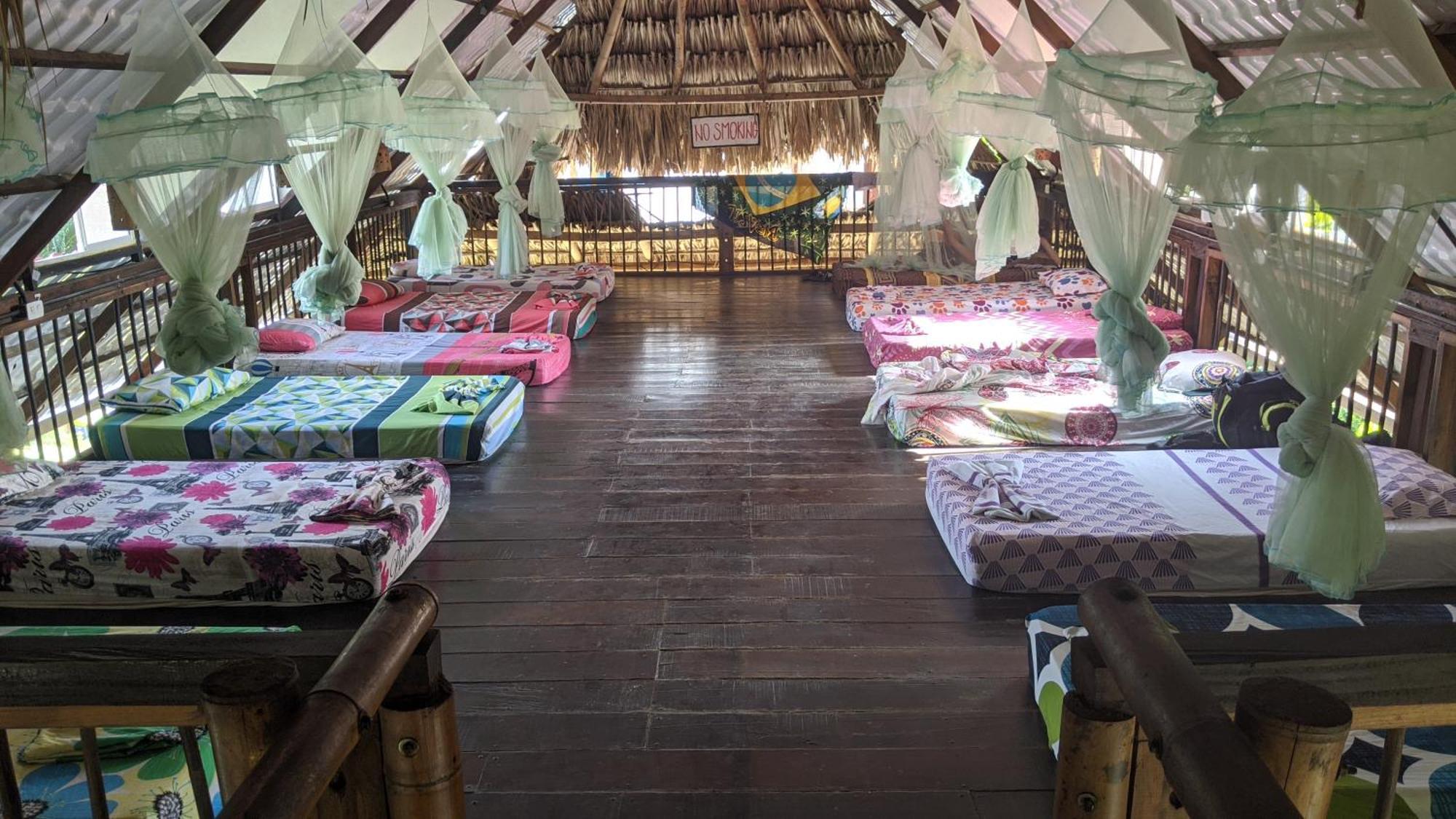 La Natura Hostel & Pool Palomino Zewnętrze zdjęcie