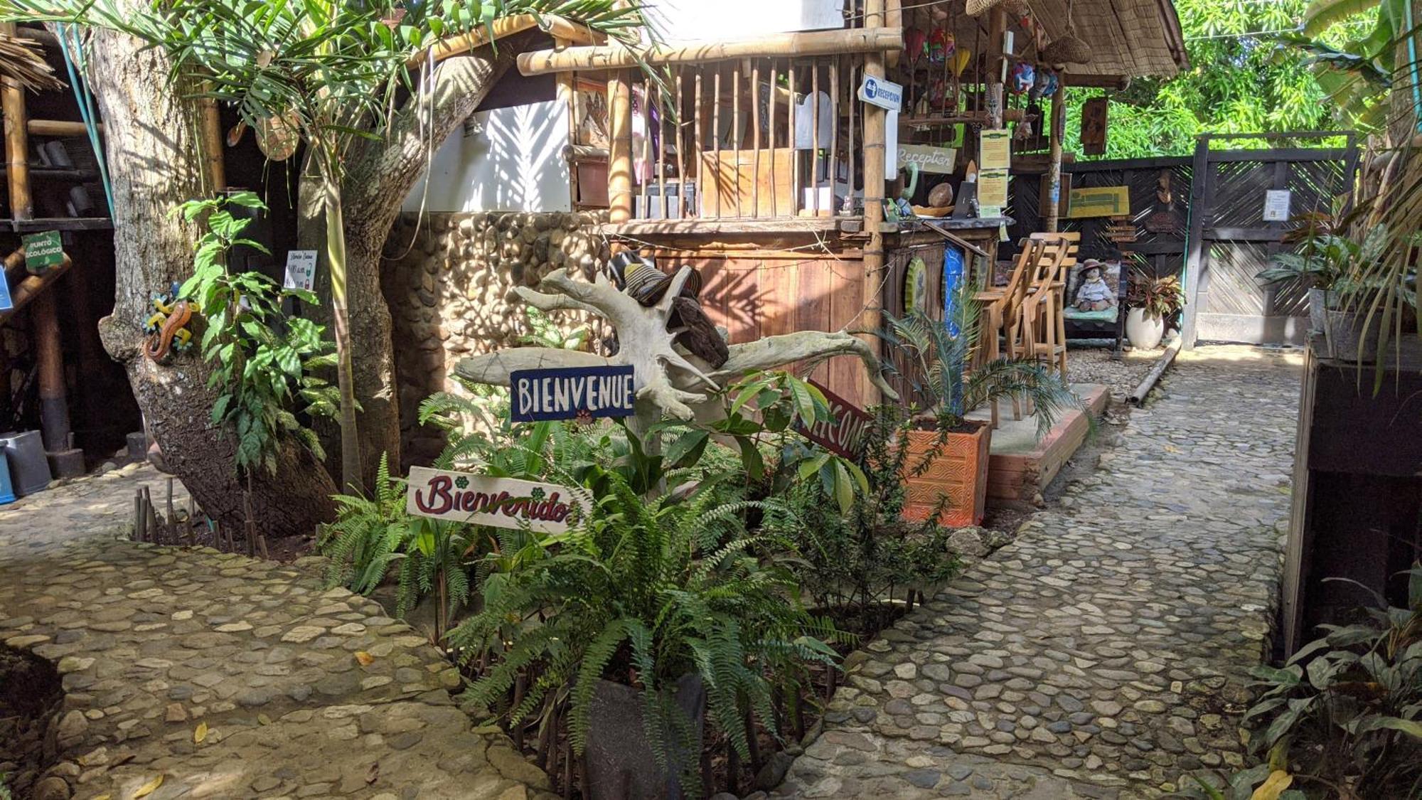 La Natura Hostel & Pool Palomino Zewnętrze zdjęcie