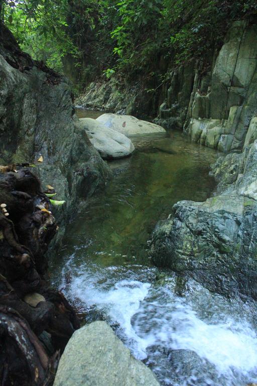 La Natura Hostel & Pool Palomino Zewnętrze zdjęcie