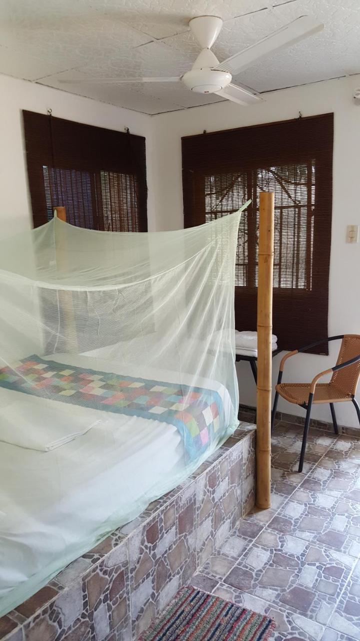 La Natura Hostel & Pool Palomino Zewnętrze zdjęcie