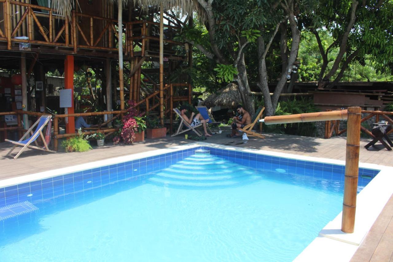 La Natura Hostel & Pool Palomino Zewnętrze zdjęcie
